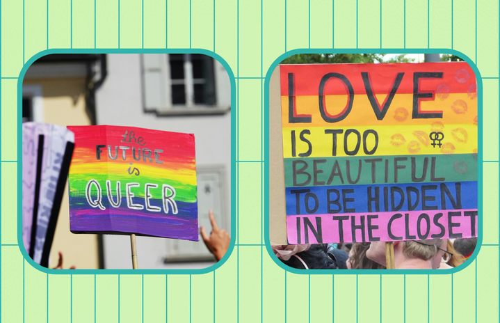 16 Clever Pride Parade Sign Ideas