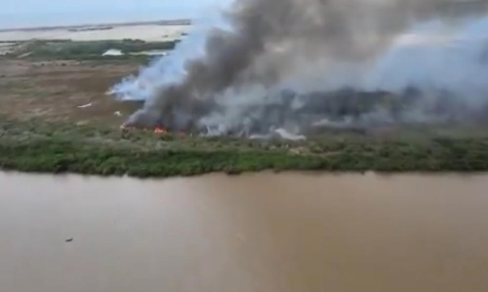 video: devastador incendio en isla 1928 en río magdalena cerca al parque isla salamanca