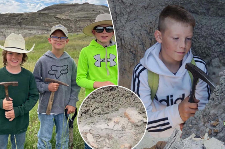 ‘Extremely rare’ dinosaur discovered by 3 tweens: My friends ‘don’t believe me that I found a T. rex’