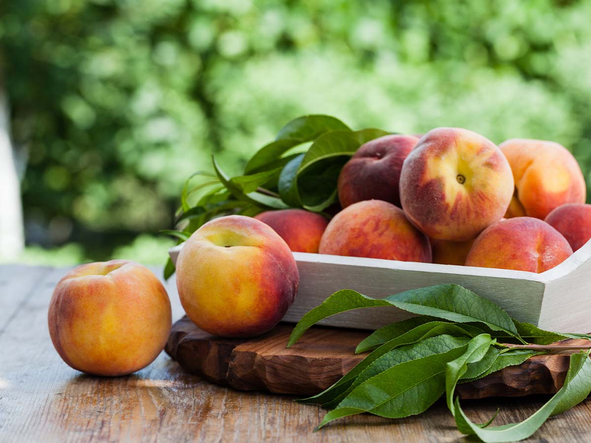 40 Foods You Eat Every Day That Are Technically Poisonous