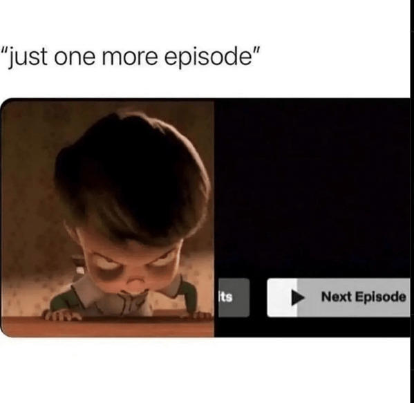 40 Funny Netflix Memes That Will Make You Forget To Hit “Skip Intro ...