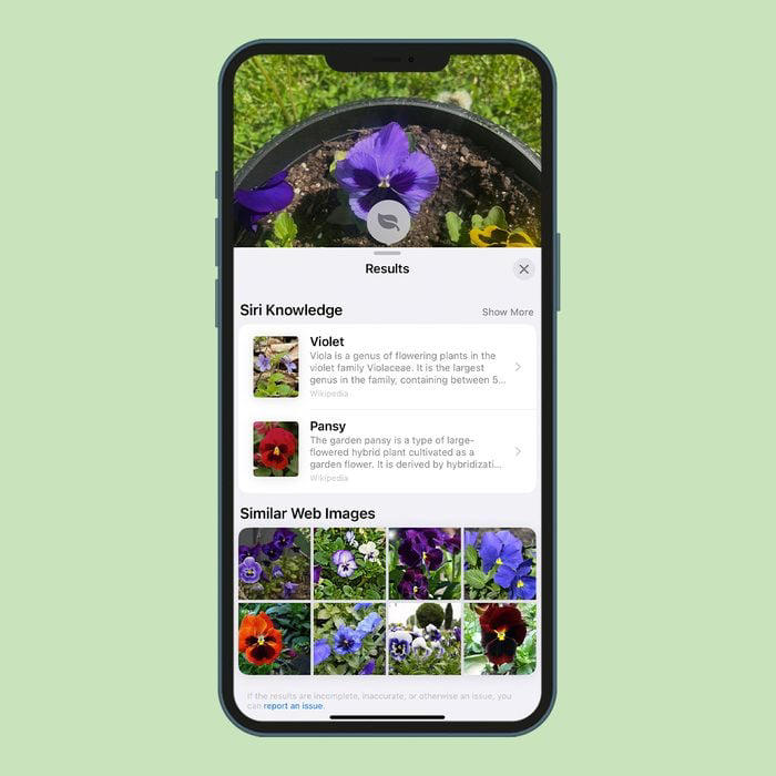 How to Identify Plants with an iPhone in 4 Simple Steps