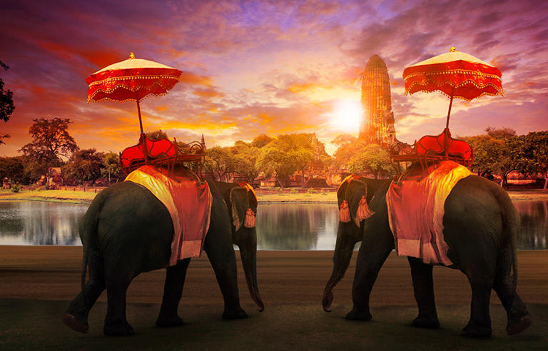 thailands-elephant-kingdom-elephants-in-sunset-in-thailand-main
