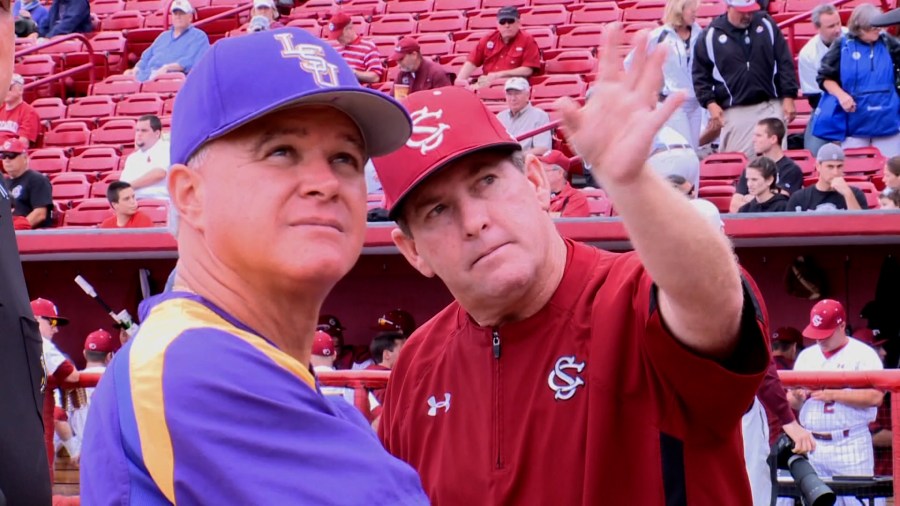 Paul Mainieri Named Head Baseball Coach At South Carolina