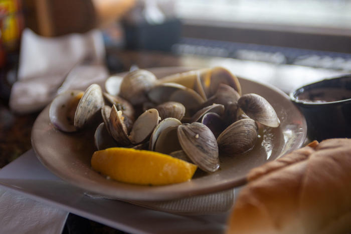 what is paralytic shellfish poisoning? what to know about fda warning, how many are sick.