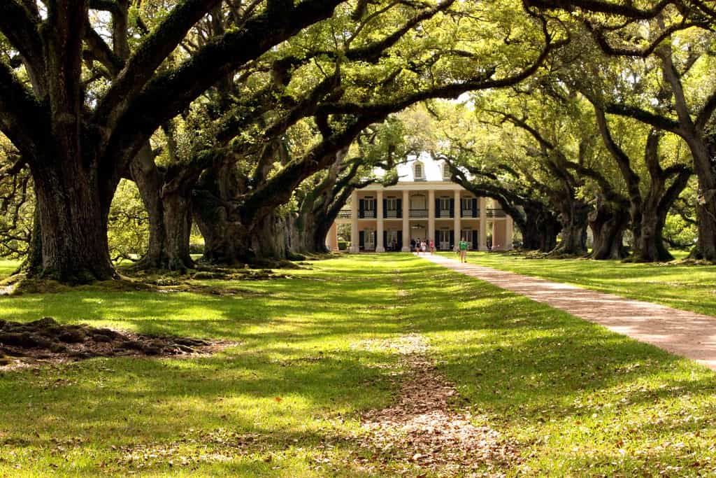 <p>Unfortunately, there are no buildings in existence today to tell the story of the slaves who worked at Oak Alley Plantation. However, records show that 24 cabins on the property housed slaves. But, the buildings still on the property include a caretaker's house, hospital, sugarhouse, sawmill, and one hundred stable stalls.</p><p>Remember to scroll up and hit the ‘Follow’ button to keep up with the newest stories from Seattle Travel on your Microsoft Start feed or MSN homepage!</p>