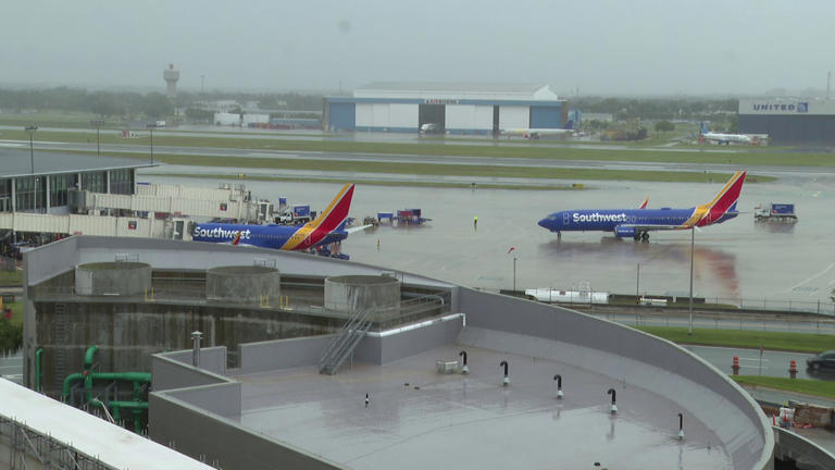 Rain causes more than 100 flight disruptions at Tampa International Airport