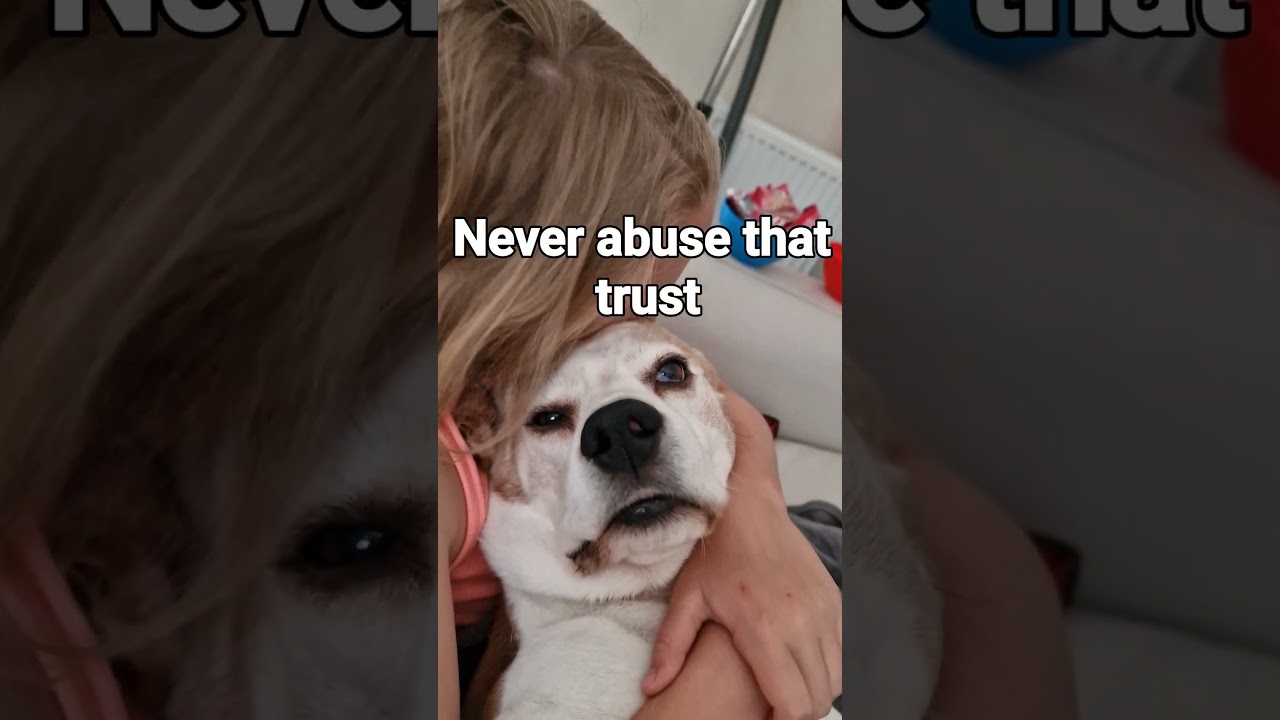 Always nurture your dog to strengthen your special bond