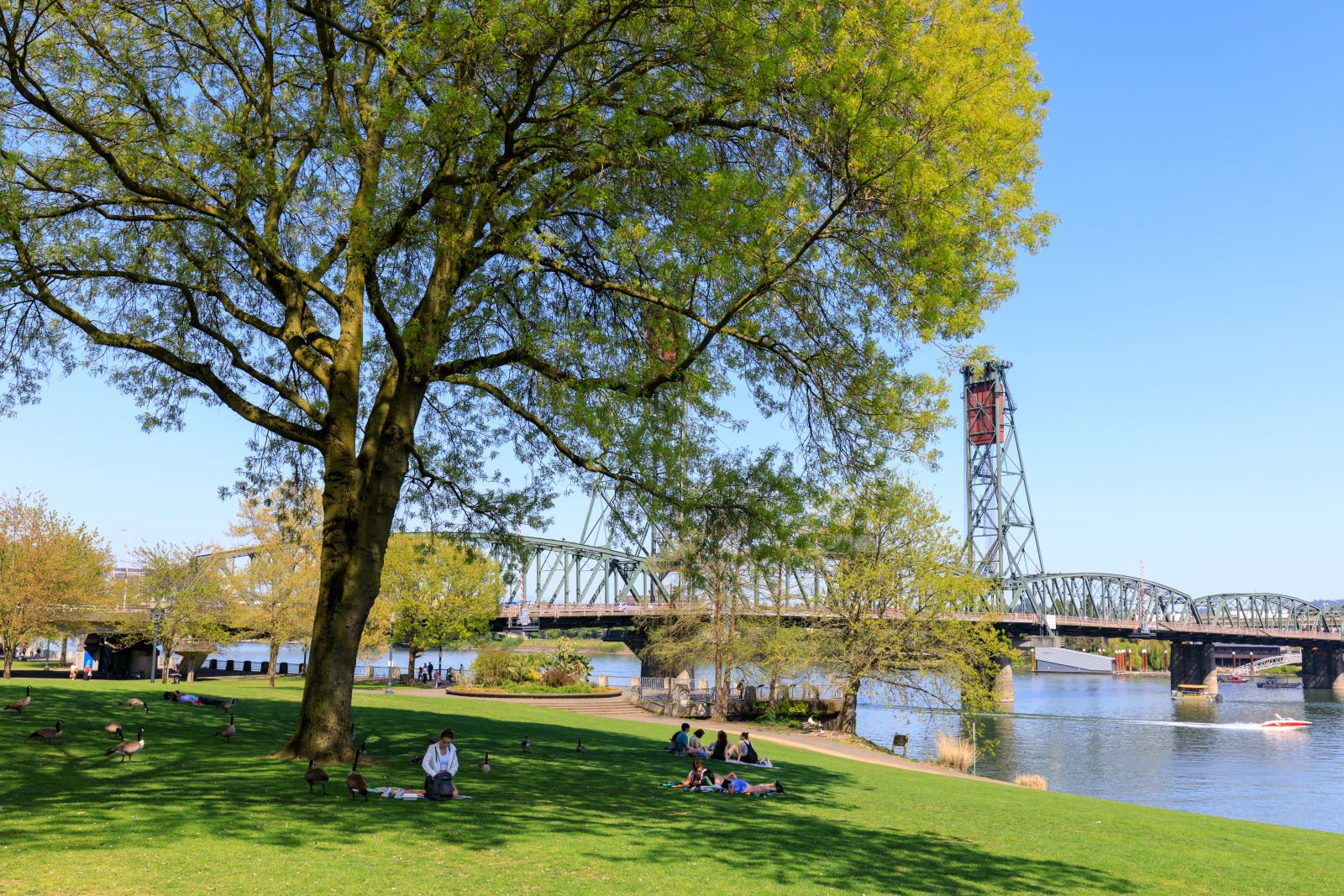 Image credit: Shutterstock / ARTYOORAN <p>Portland is famed for its progressive environmental policies, from expansive bike paths to pioneering waste reduction programs.</p>