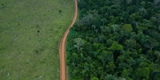 Ambientalistas afirmam que a pavimentação completa sem medidas de mitigação da BR-319 podem levar a um desmatamento desenfreado