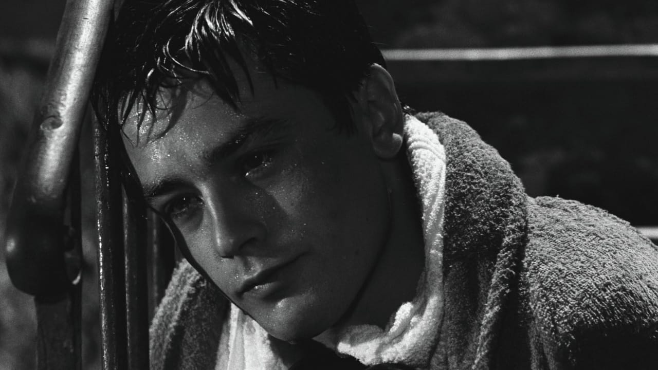 <p>Made at the height of Italy’s postwar economic boom and in the shadow of southern migration to the country’s north, <em>Rocco and His Brothers</em> illustrates the utter disintegration of a once-close-knit family in the suburbs of industrial Milan. Luchino Visconti invokes neorealist tenants with his on-location shooting to capture encroaching modernity and working-class focus, yet on a grander scale than those earlier works. The film helped cement French actor Alan Delon, who portrays the titular Rocco, as an international star, imbuing the character with tender sensitivity and family loyalty.</p><p><em>Rocco and His Brothers</em> garnered some controversy upon its release, particularly over the portrayal of a murder scene, yet its family dynamics and portrait of working-class Milan ensured its place in the canon of Italian cinema. Noted admirers of the work include <a href="https://wealthofgeeks.com/martin-scorseses-best-movies-ranked/">Martin Scorsese</a> and Francis Ford Coppola, both of whom have cited <em>Rocco</em> as an instrumental influence on their own directorial careers.</p>
