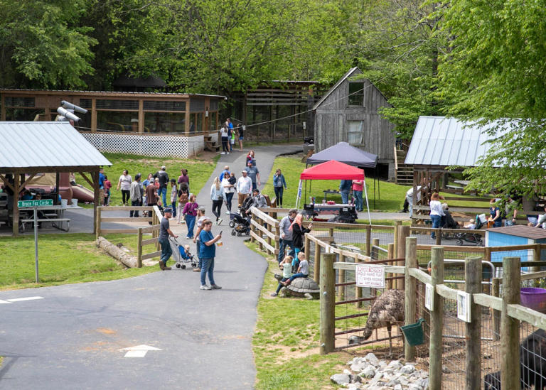 Little Ponderosa Zoo in Anderson County in ‘dire need’ of supplies