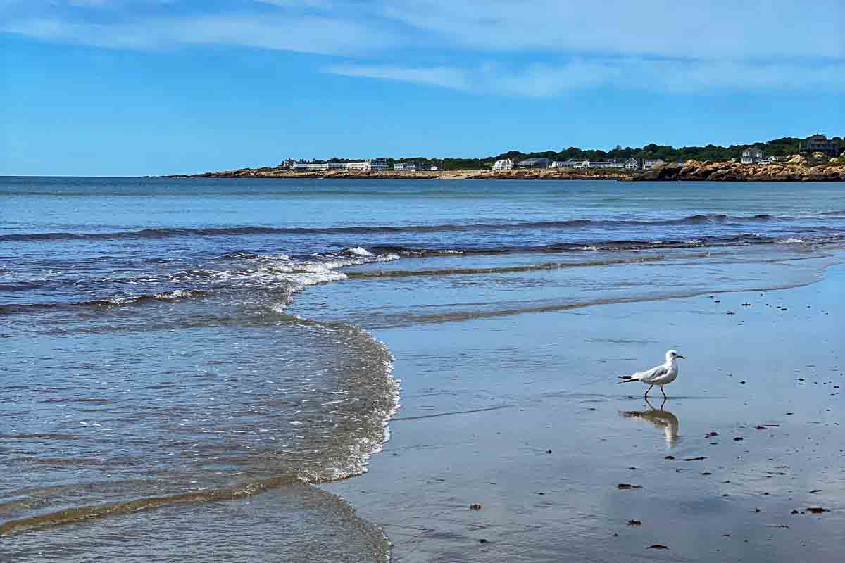 <p>North of Boston is Cape Ann, featuring the town of Gloucester. Beaches on Cape Ann include Good Harbor and Wingaersheek <a href="https://www.familytravelmagazine.com/best-beaches-in-gloucester-ma/">Beaches in Gloucester</a>. </p>