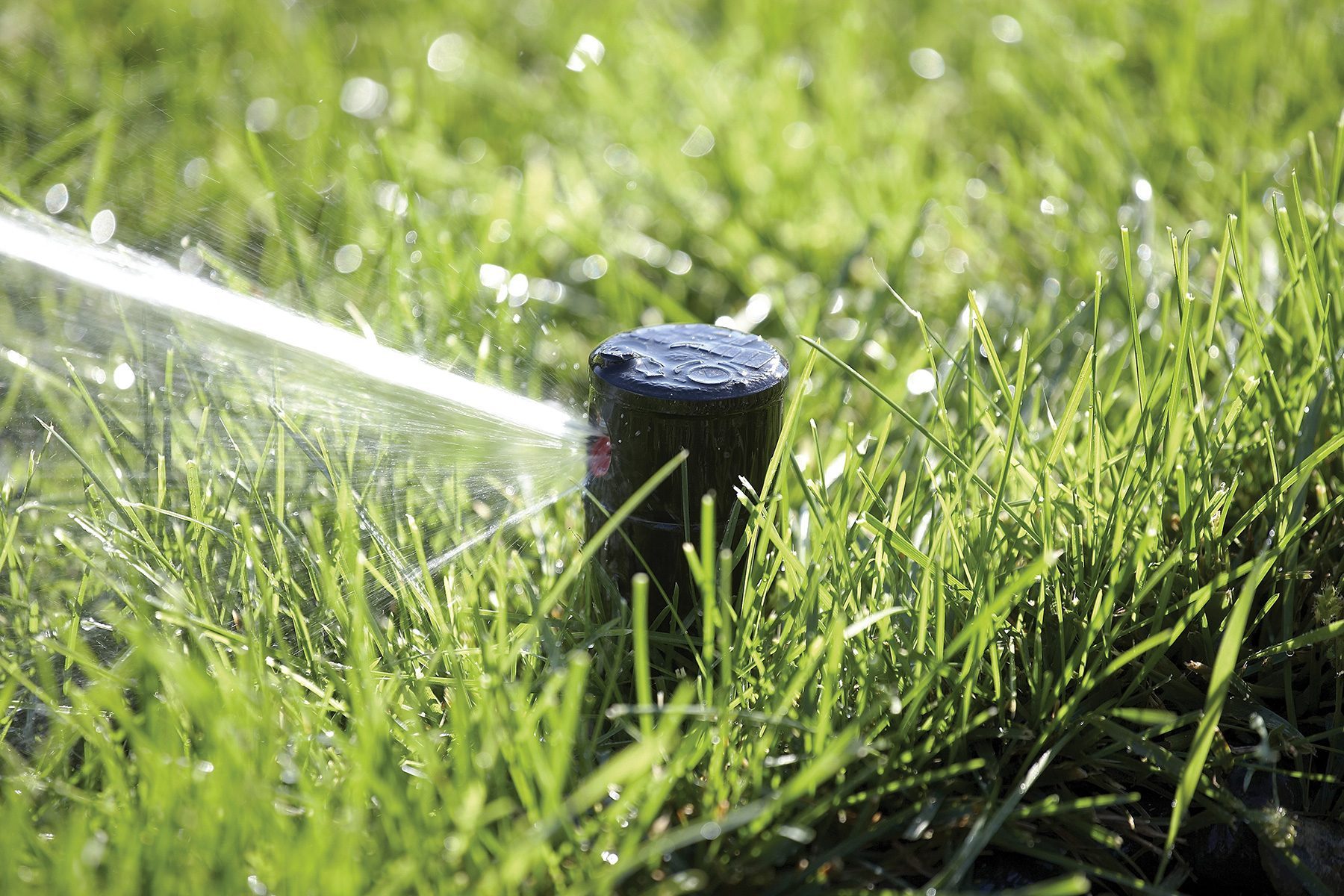 10 Smart and Effective Ways to Water Your Lawn