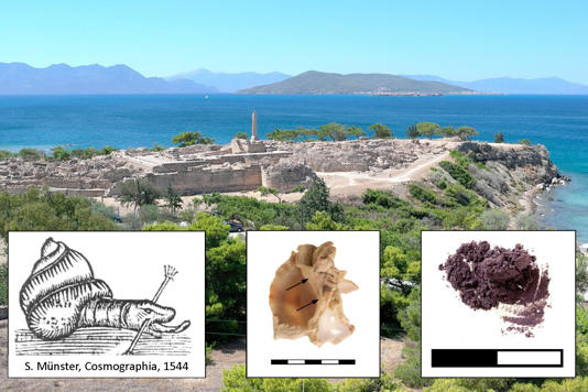 A view of the Kolonna archaeological site from the northeast on the Greek island of Aegina. Small pictures from left to right: a 16th-century drawing of a snail, a specimen of the marine snail Hexaplex trunculus from Kolonna (photo by G. Forstenpointner) and a purple pigment sample from Kolonna (photo by L. Berger).