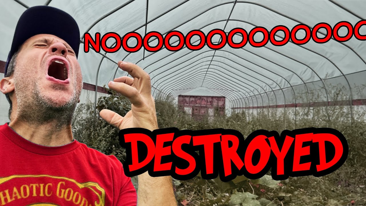 Livestock Devoured Our Winter Crops: A Homestead Horror Story