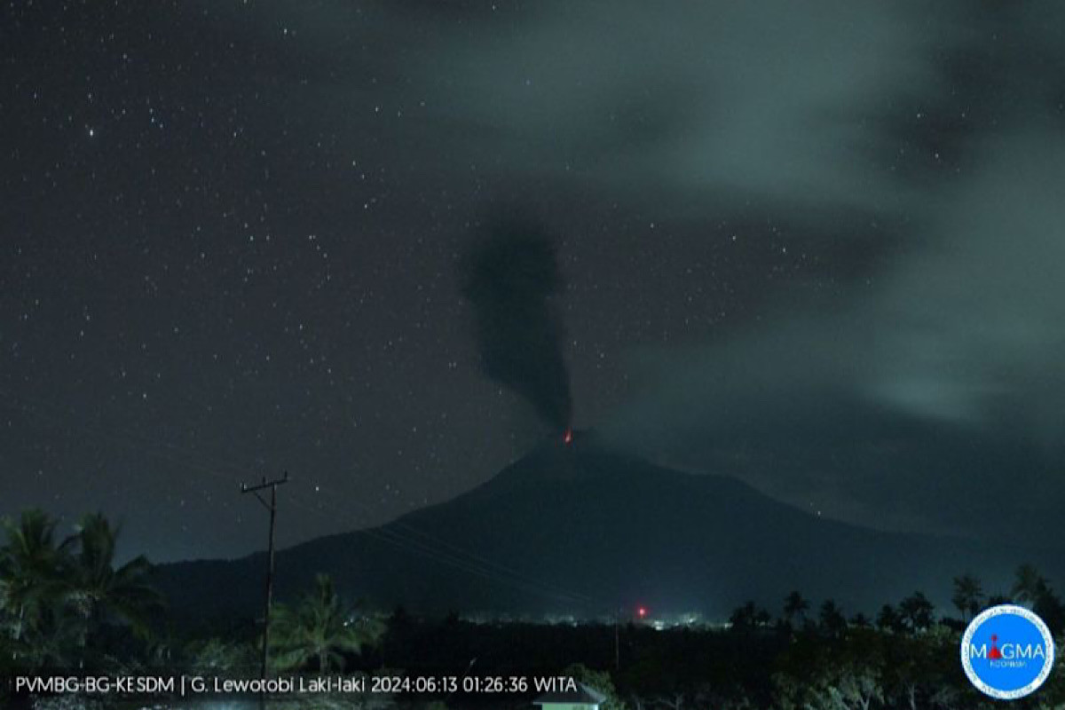 Gunung Lewotobi Laki-Laki Semburkan Abu Vulkanik Setinggi 700 Meter