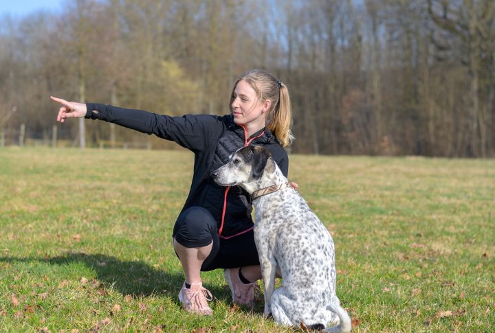 15 Strategies to Tackle Dog Aggression with Love and Understanding