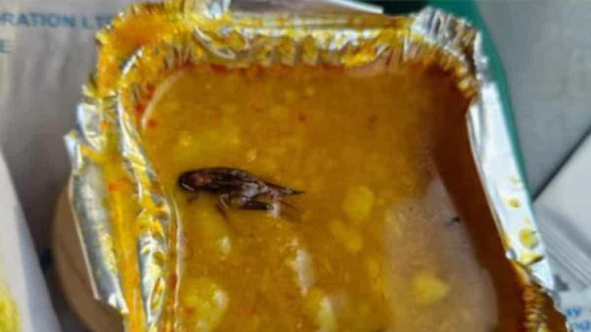 indian railways issues apology to couple who found 'cockroach' in food