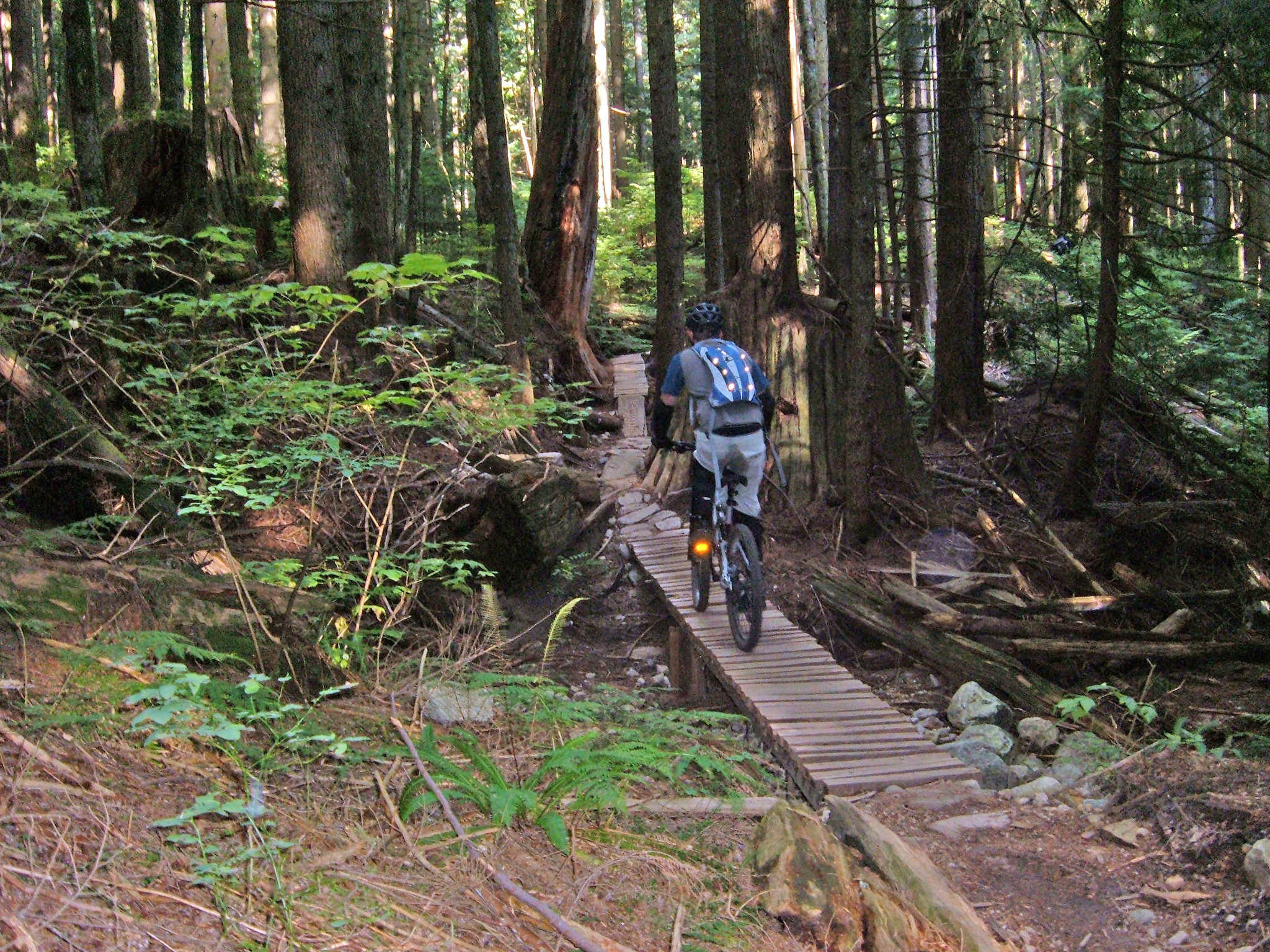 <p>Mt. Fromme, part of the North Shore mountain biking scene in British Columbia, is renowned for its technical trails and challenging terrain. The area features over 30 miles of trails, including the famous “Fromme Classics” like Ladies Only and Bobsled. Riders can expect steep descents, rocky sections, and intricate wooden features, all set in a lush, temperate rainforest. Nearby Vancouver offers a bustling urban experience with a variety of dining, shopping, and cultural attractions.</p>