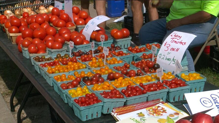 Buckeye Fresh! Days to offer $250+ in free produce at Toledo Farmers ...