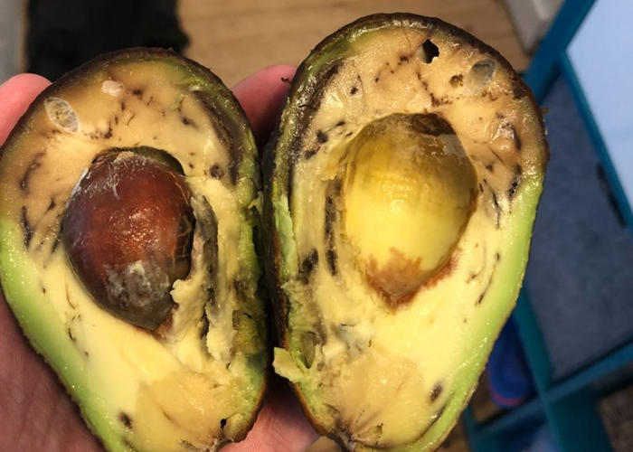 how to, how to prevent your cut avocado from turning brown