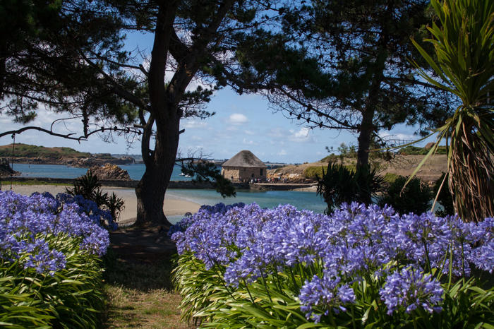 vacances en bretagne : attention, cette île fleurie et paradisiaque va limiter son nombre de visiteurs cet été