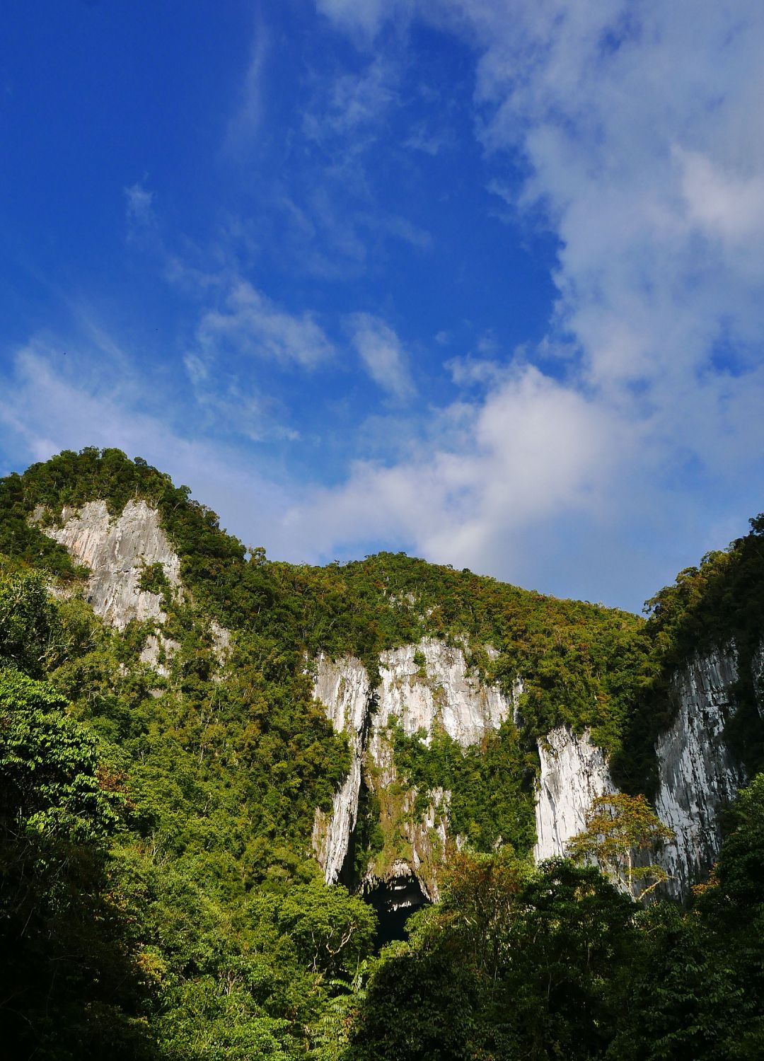 <p>                     The cliffs of Gunung Mulu National Park make for dramatic scenery for hikers. The park, which is situated in remote northeastern Sarawak, is incredibly biologically diverse, with over 3500 species of plants. Famed for its incredible caves, there are walking tours and hiking trails throughout the area, as well as guided wildlife tours.                   </p>