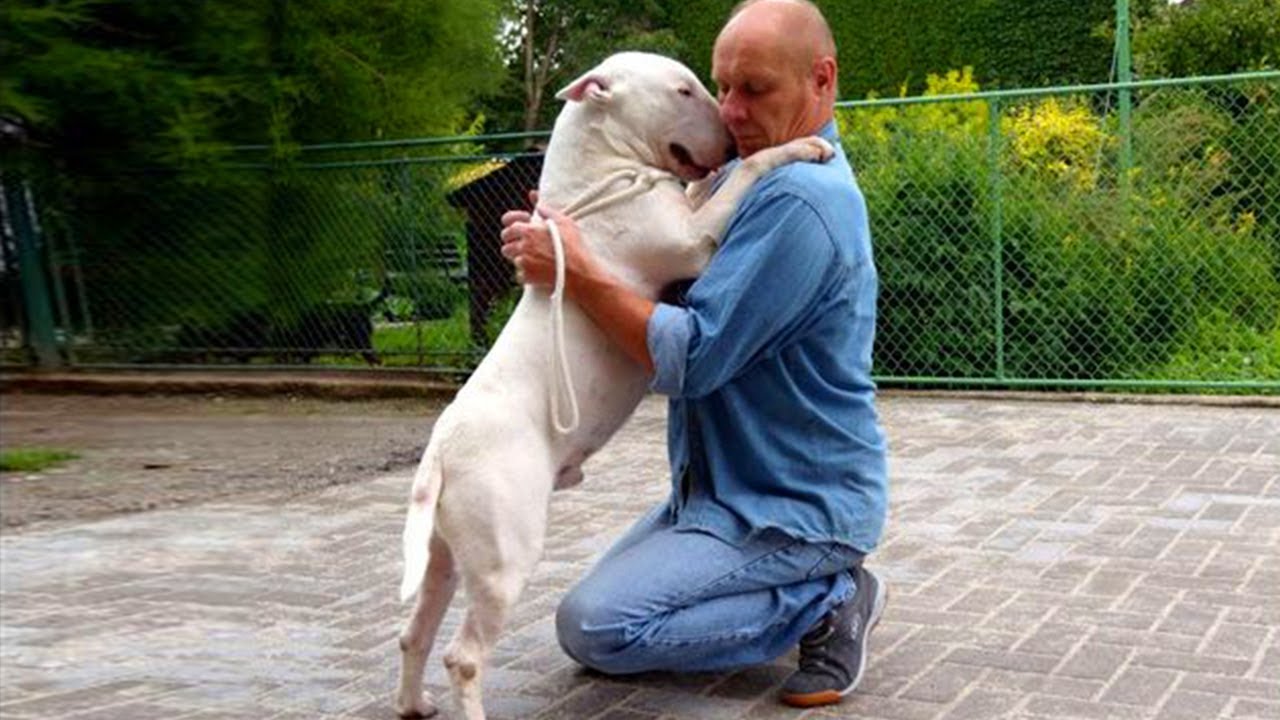 Dog remembers owner after the longest time apart