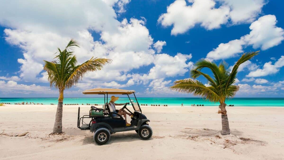 <p>Did you know a small, car-free island sits in the middle of the<strong><a href="https://www.flannelsorflipflops.com/how-this-caribbean-island-stole-the-spotlight-for-2024s-travel-scene/" rel="noreferrer noopener"> Caribbean Sea</a></strong> and the Gulf of Mexico? Isla Holbox is located slightly north of the Yucatan Peninsula and boasts incredible wildlife, delicious cuisine, and breathtaking views. When it comes to wildlife, you might expect me to mention the tropical fish, but there’s more to it. </p><p>Isla Holbox is home to a remarkable population of whale sharks! To catch a glimpse of these massive creatures, plan your visit between May and September, the prime time for spotting them as they swim through the waters. Additionally, the island is renowned for its vibrant pink flamingos that live in the surrounding lagoons. If you’re drawn to abundant wildlife and a relaxed atmosphere, don’t hesitate to plan your trip to Isla Holbox.</p><p><strong><a href="https://www.flannelsorflipflops.com/how-this-caribbean-island-stole-the-spotlight-for-2024s-travel-scene/" rel="noreferrer noopener">Read more about Caribbean Islands</a></strong></p>