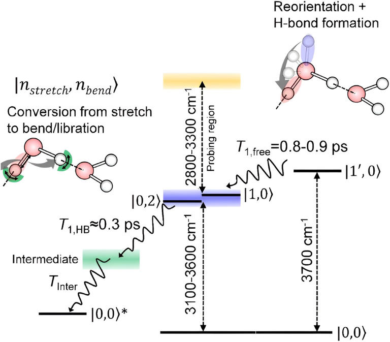 Spectroscopic technique that singles out water molecules lying on the ...