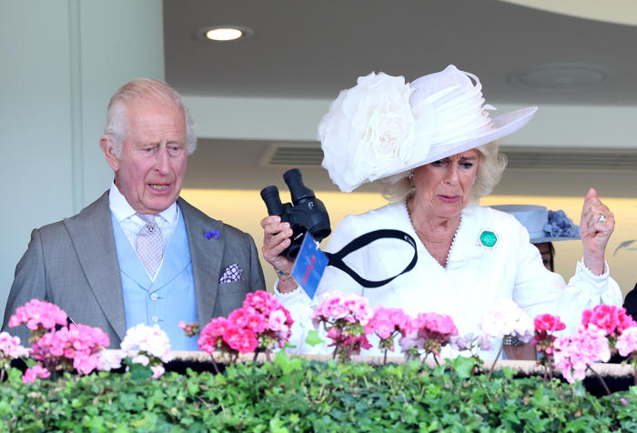 queen camilla gasps in horror as ascot royal runner produces dismal finish