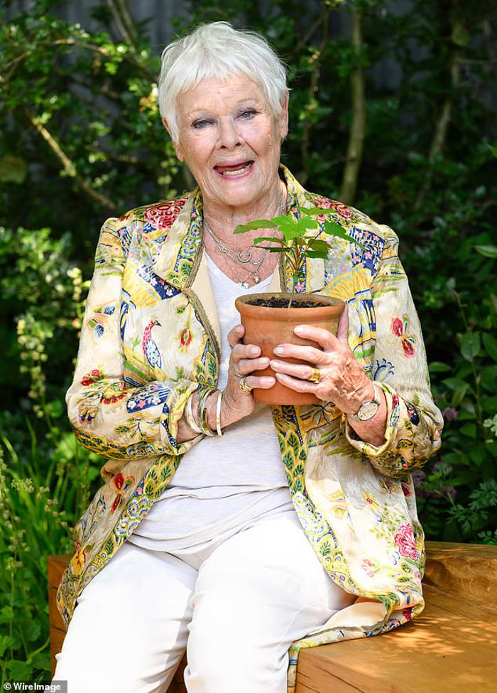 dame judi dench to join extinction rebellion march