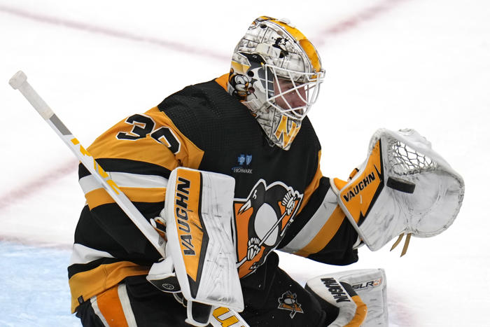penguins re-sign goaltender alex nedeljkovic to a 2-year contract