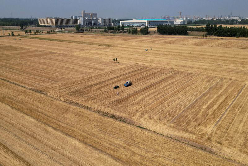 severe drought forces corn farmers in china's east to delay planting