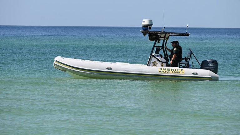 6 tips for avoiding shark attacks at Florida beaches