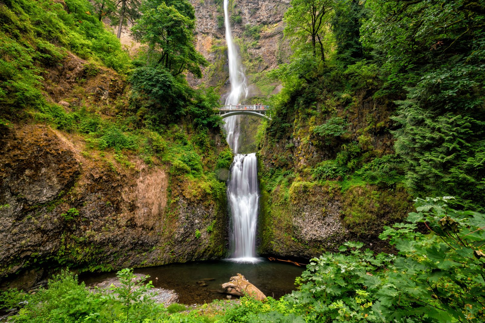 <p class="wp-caption-text">Image Credit: Shutterstock / f11photo</p>  <p>Explore the dramatic landscapes along the Columbia River, with waterfalls, hiking trails, and scenic overlooks.</p>