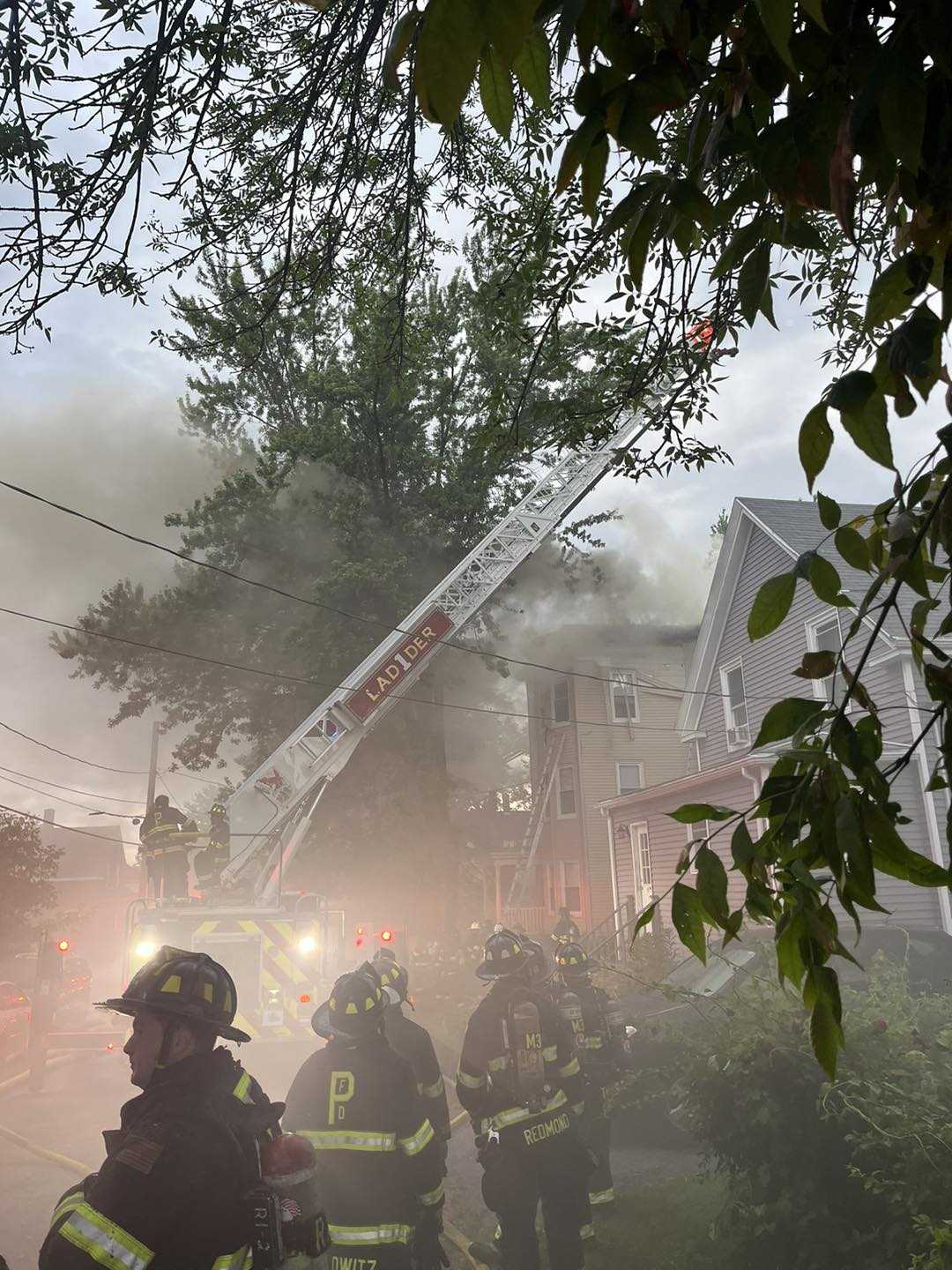 Dozens Of Snakes Rescued Following Portland 3-alarm Fire