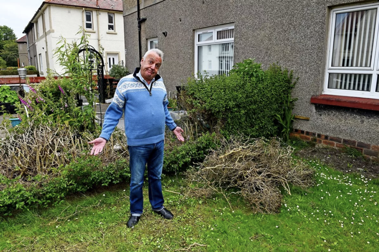 Autistic woman devastated after Scottish Tory Councillor destroys ...