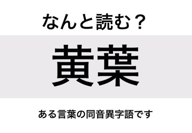 【なんと読む？】「黄葉」の読み方は？ある言葉の同音異字語です／難読漢字