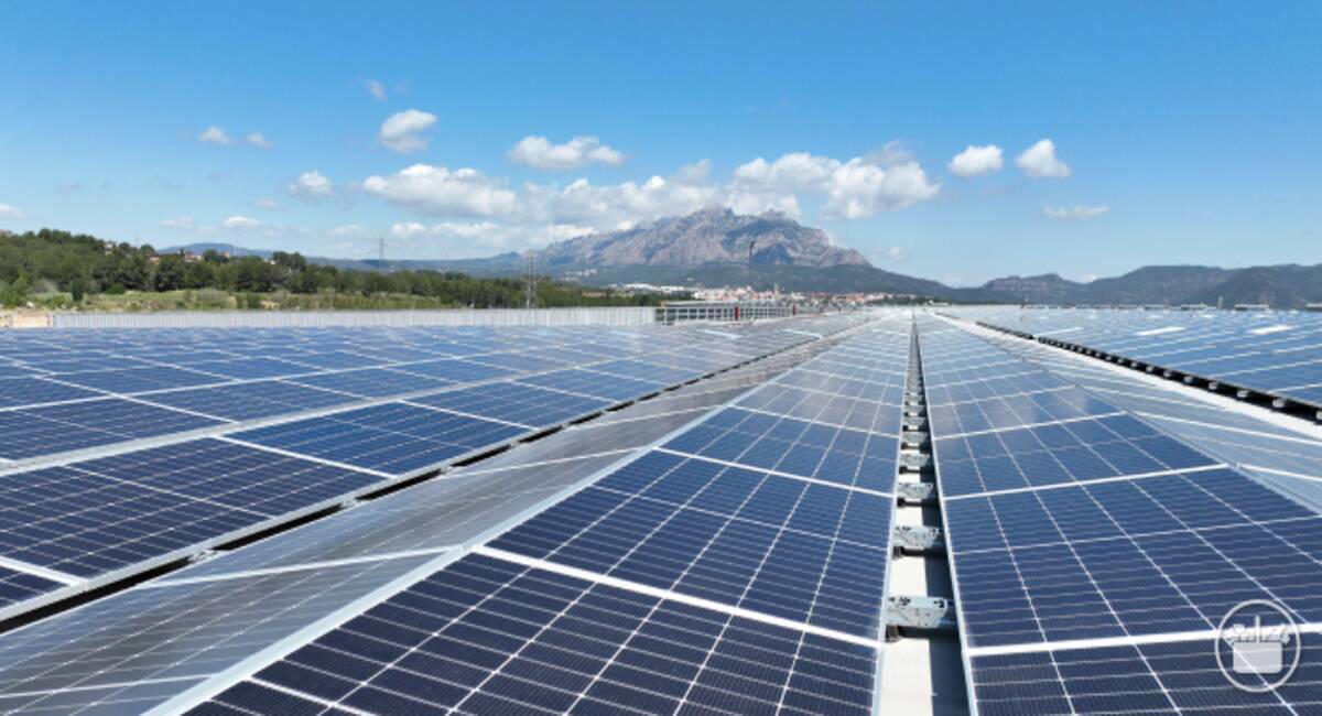 mercadona inaugura su mayor planta fotovoltaica