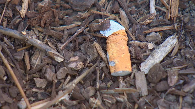 Washington drivers reminded to keep cigarette butts in the car or face steep fine