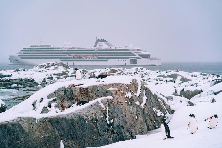 In order to build ships strong and technically savvy enough to traverse through some of the most remote and challenging landscapes on Earth, several cruise companies borrowed designs from other parts of the shipping industry.