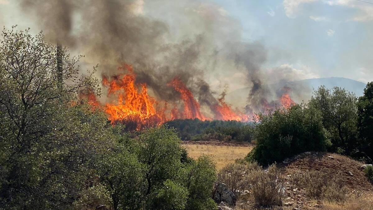 starke winde fachen neue waldbrände in griechenland an: «45 feuerausbrüche im ganzen land»
