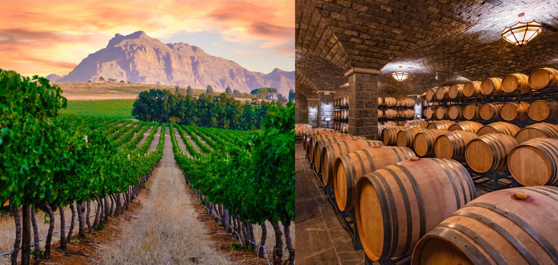 <p>Wine routes allow connoisseurs and enthusiasts of this most civilized of drinks to visit wineries and vineyards in some of the most prestigious <a href="https://www.starsinsider.com/food/225496/how-to-wine-taste-like-a-pro" rel="noopener">wine</a> regions in the world. </p><p>You may also like:<a href="https://www.starsinsider.com/n/155599?utm_source=msn.com&utm_medium=display&utm_campaign=referral_description&utm_content=223384v5en-us"> The dark side of fashion: mental illness in the fashion industry</a></p>