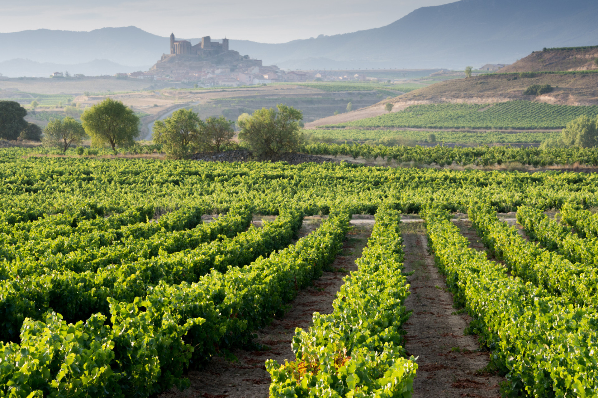 Exploring the Rioja Alta Wine Route is to discover Spain's wine-making heartland. Tempranillo, Graciano, and Viura are among the grape varieties cultivated.<p><a href="https://www.msn.com/en-us/community/channel/vid-7xx8mnucu55yw63we9va2gwr7uihbxwc68fxqp25x6tg4ftibpra?cvid=94631541bc0f4f89bfd59158d696ad7e">Follow us and access great exclusive content every day</a></p>