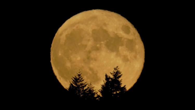 June moon: Here's when to watch for the 'strawberry moon' in Portland