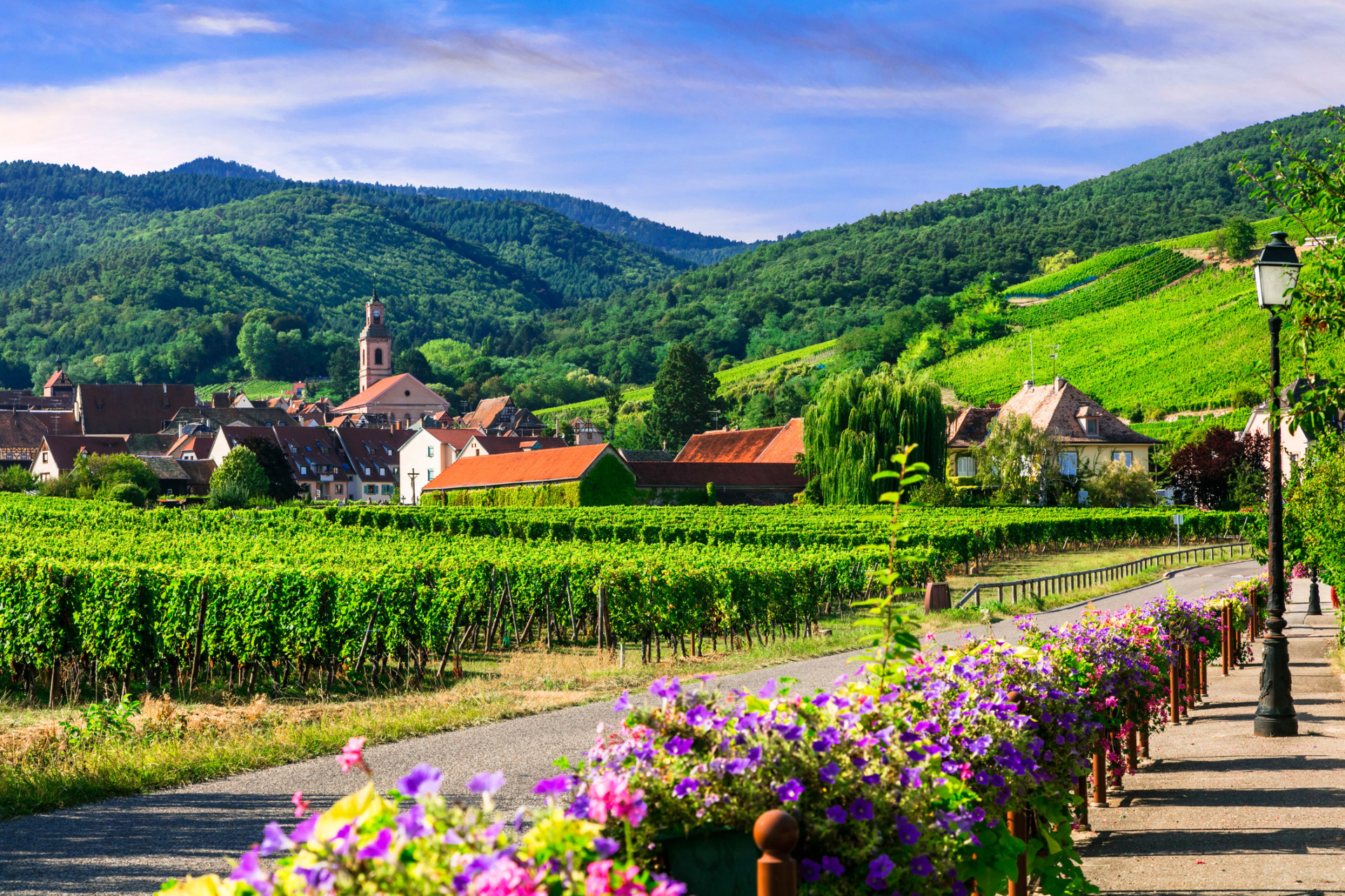 The Alsace Wine Route is one of the oldest wine routes in the country. Grape varieties grown in the region include Muscat, Pinot Noir, and Gewurztraminer.<p><a href="https://www.msn.com/en-us/community/channel/vid-7xx8mnucu55yw63we9va2gwr7uihbxwc68fxqp25x6tg4ftibpra?cvid=94631541bc0f4f89bfd59158d696ad7e">Follow us and access great exclusive content every day</a></p>