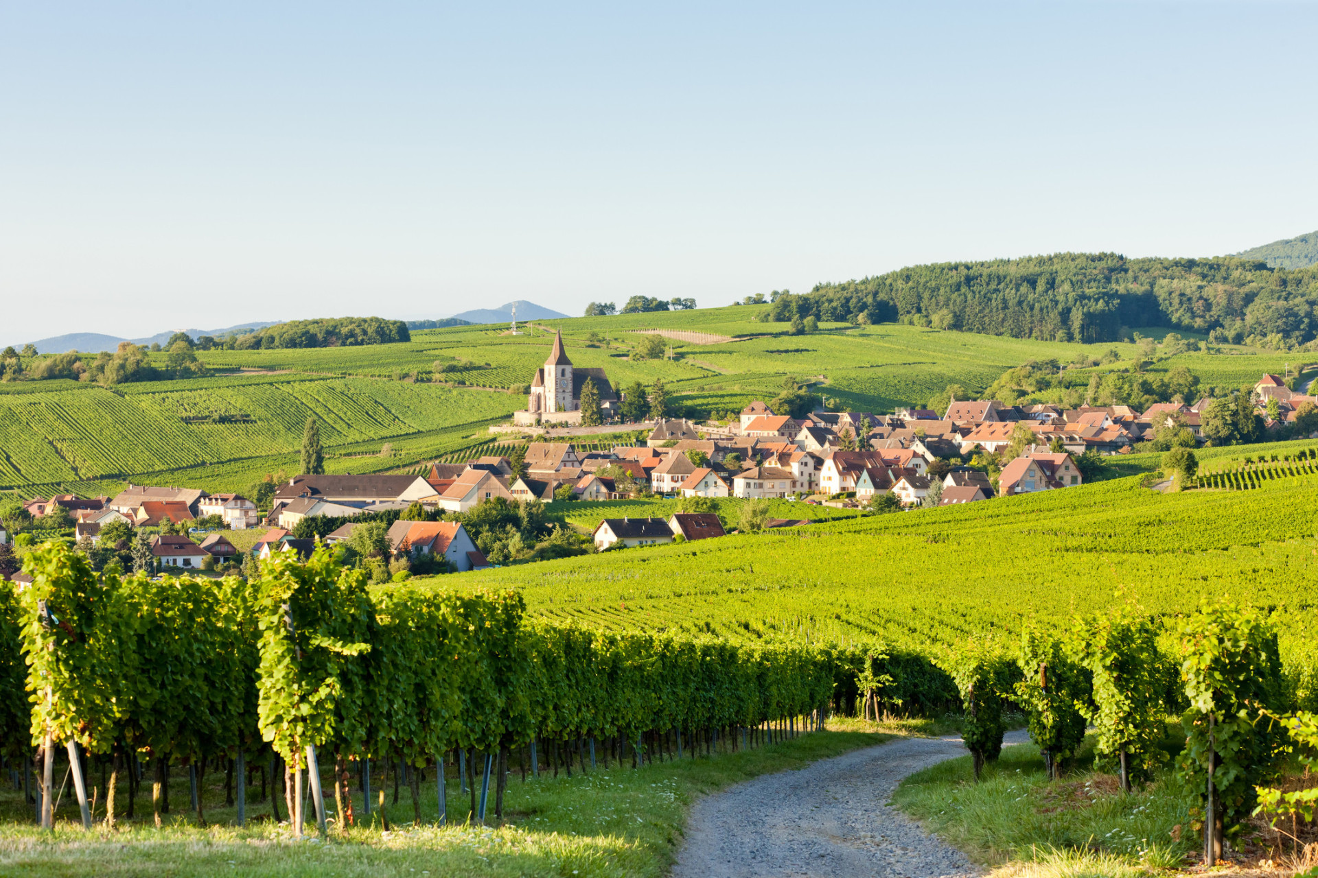 The route snakes through 70 wine-growing villages, many renowned for their scenic beauty.<p>You may also like:<a href="https://www.starsinsider.com/n/192432?utm_source=msn.com&utm_medium=display&utm_campaign=referral_description&utm_content=223384v5en-us"> The highest paid TV presenters in the UK</a></p>