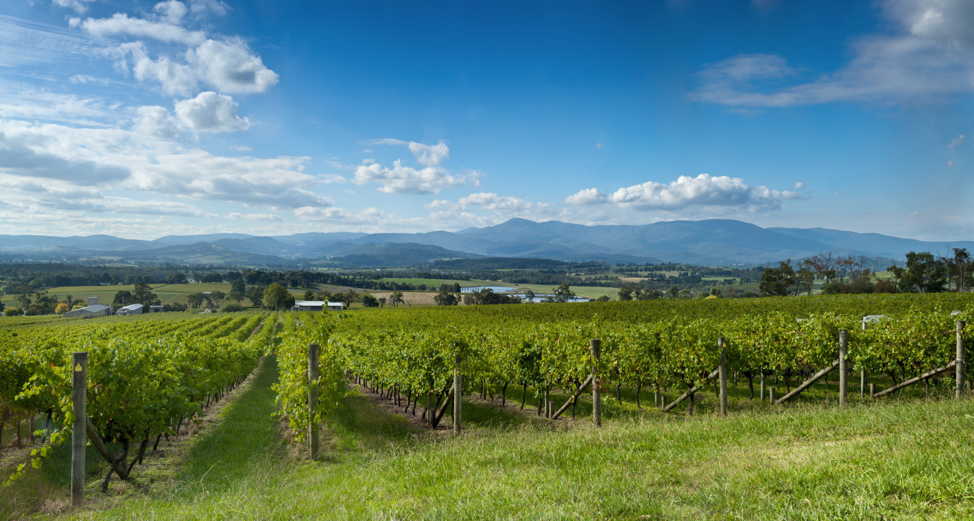 Famous for its Chardonnay and Pinot Noir, Victoria's Yarra Valley embraces a number of top-notch wineries that offer vineyard and cellar tours, and tastings galore!<p><a href="https://www.msn.com/en-us/community/channel/vid-7xx8mnucu55yw63we9va2gwr7uihbxwc68fxqp25x6tg4ftibpra?cvid=94631541bc0f4f89bfd59158d696ad7e">Follow us and access great exclusive content every day</a></p>